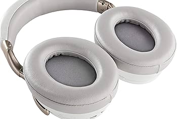 Amazon.co.jp: デノン Denon AH-GC30 ワイヤレスノイズキャンセリング