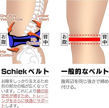 Amazon | Schiek(シーク) リフティングベルト 4004 パープル L（日本