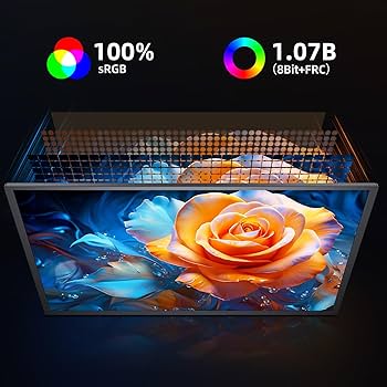 Amazon.co.jp: 4k QLED モバイルモニター Newsoul 18.4インチ大画面