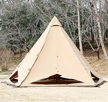 Amazon.co.jp: テンマクデザイン サーカスTC BIG+ 2-4人 ワンポール