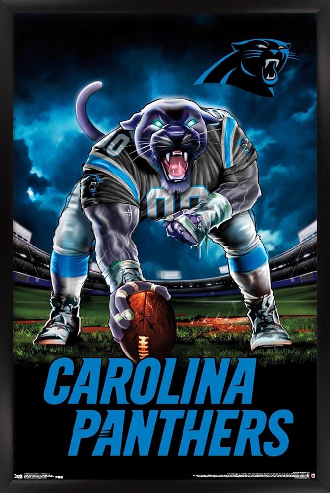 Amazon.co.jp: Trends International NFL カロライナ・パンサーズ - 3