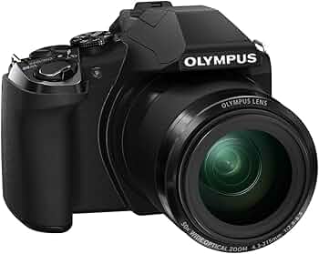 713F7kk60HL._AC_UF350,