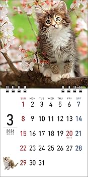 S2】 2026 にゃん プチカレンダー (永岡書店のカレンダー) | 森田米雄