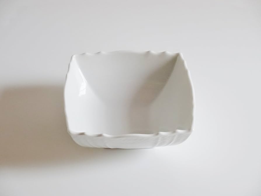 Amazon.co.jp: リチャードジノリ(Richard Ginori) ベッキオホワイト