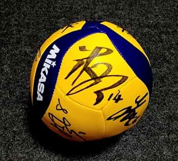 713v6kt8scL._AC_UF350,