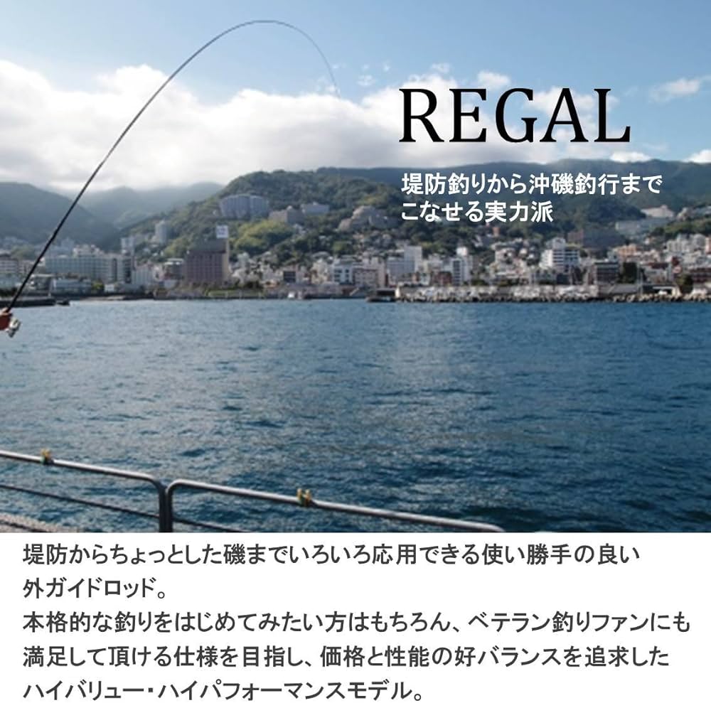 Amazon | ダイワ(DAIWA) 波止釣り・海上釣堀・磯竿 リーガル 遠投 3-45