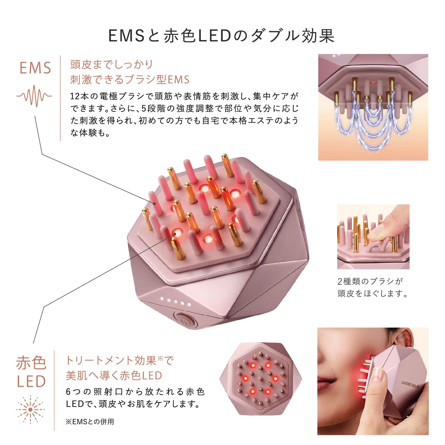 Amazon | アテックス ATEX ルルドボーテ EMSリフトブラシ AX-NBL506