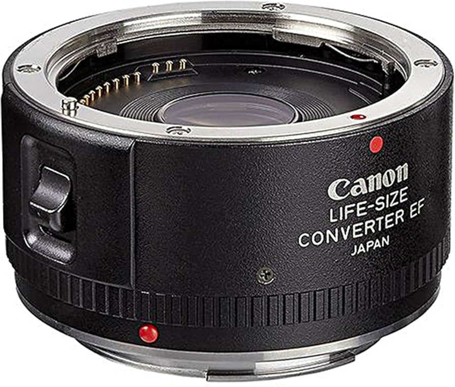 Amazon.com : Canon Life Size Converter EF Macro Lens : Camera