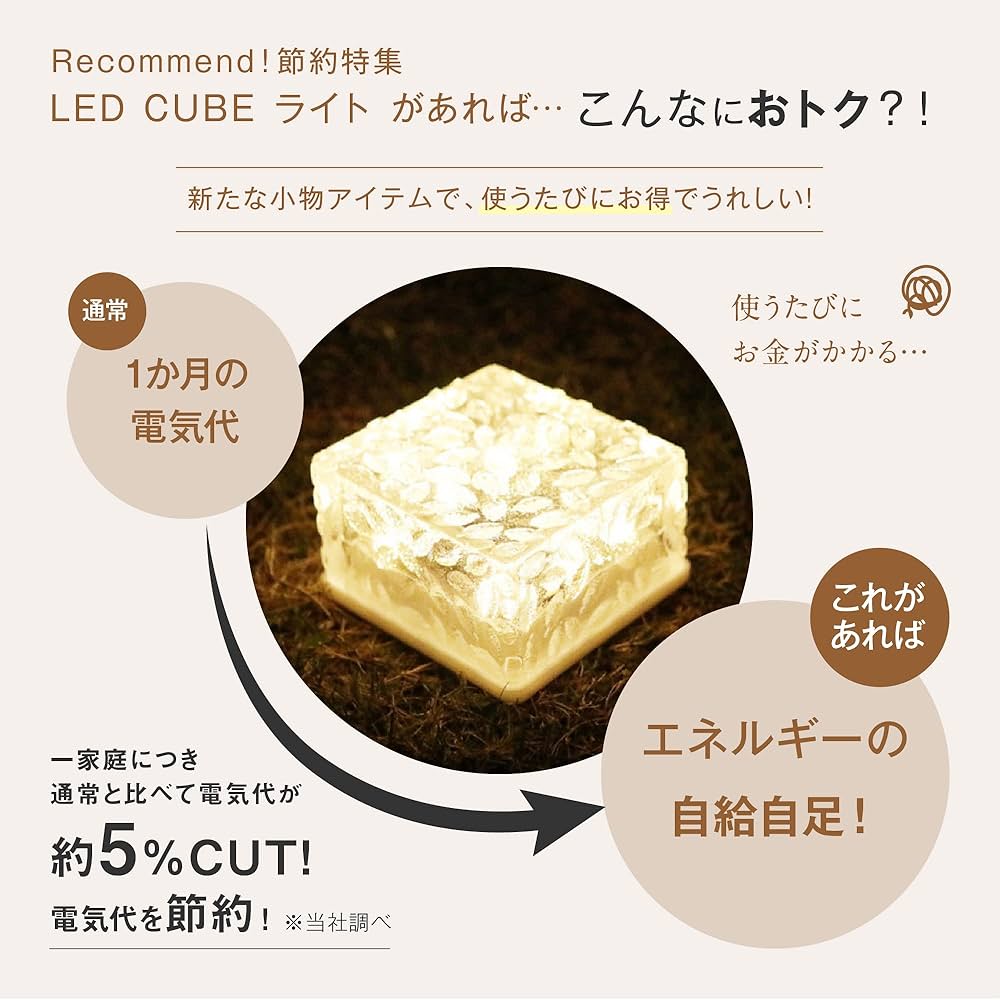 71tUWWDvYQL._AC_UF1000,