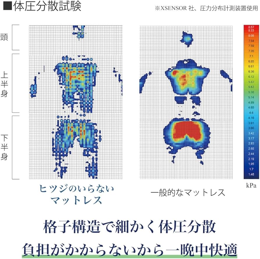 Amazon.co.jp: 太陽 ヒツジのいらないマットレス シングル, 195×100