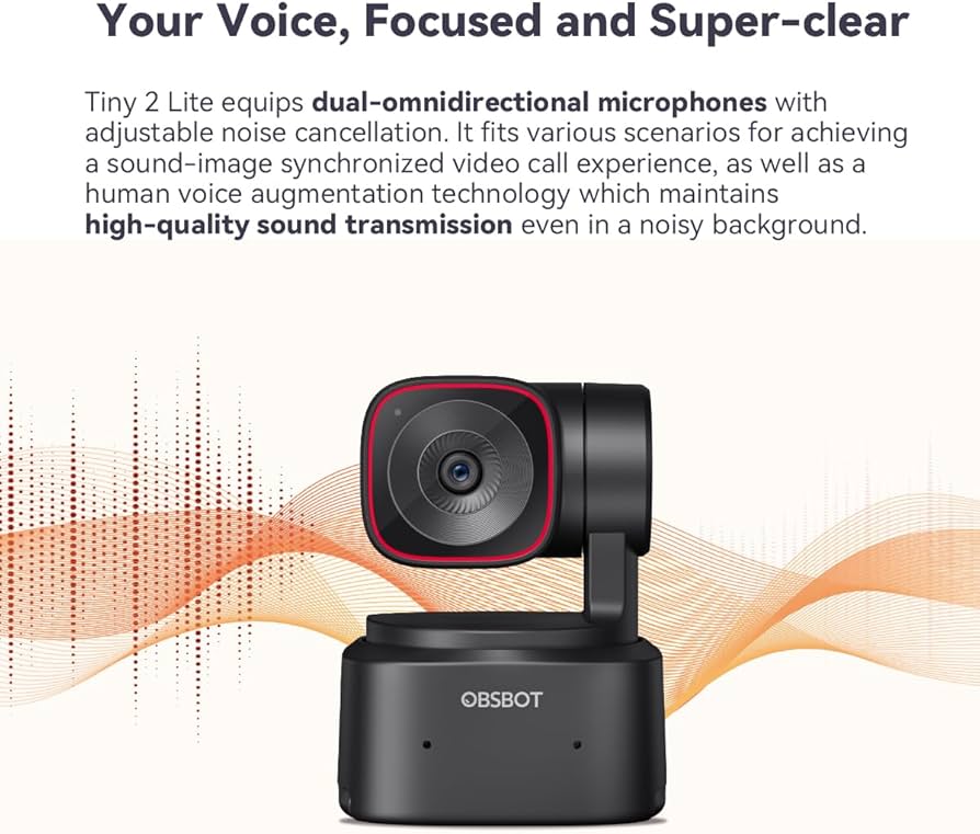 Amazon.com: OBSBOT Tiny 2 Lite AI-Powered 4K UHD PTZ Webcam,1/2