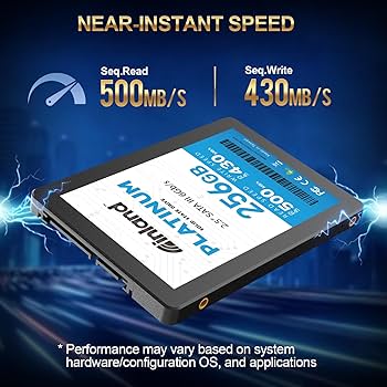 Amazon.com: Inland Platinum 256GB SSD SATA III 6Gb/s 2.5
