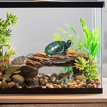 Amazon.co.jp: 翡翠亀像 天然翡翠宝石 かわいい動物の彫刻 長寿と幸運