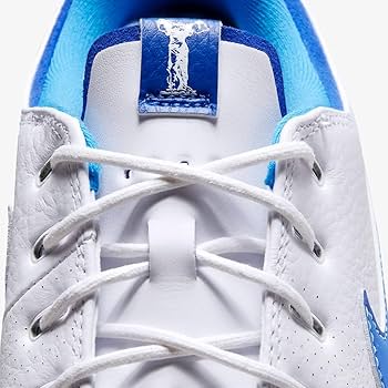 Amazon.co.jp: NIKE ナイキ 29.0cm エア ズーム ビクトリー ツアー 3