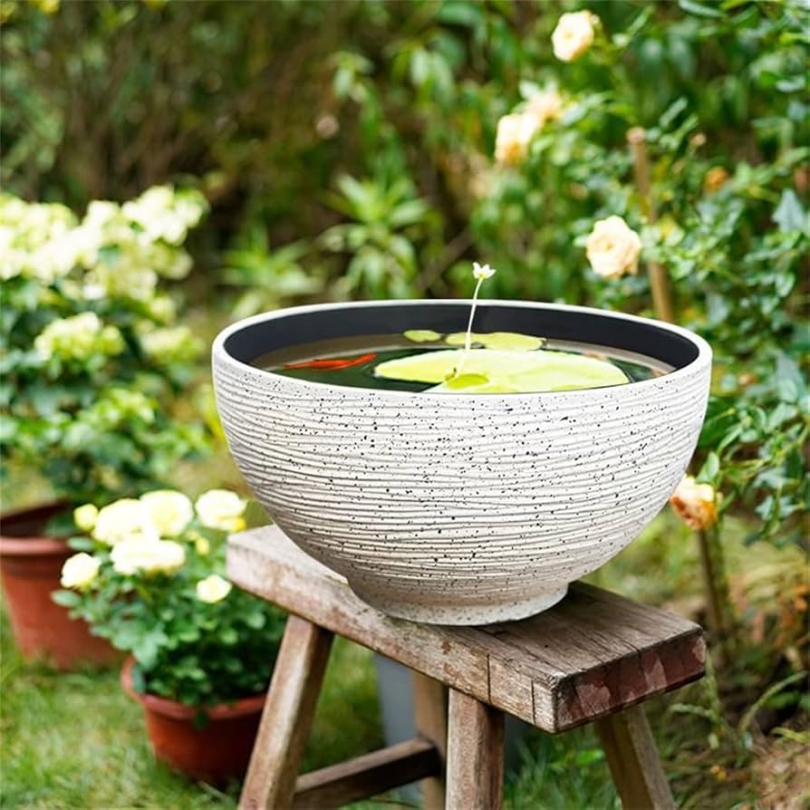 Amazon | simerlook 睡蓮鉢 メダカ 鉢 大型 植木鉢 金魚鉢 水生植物