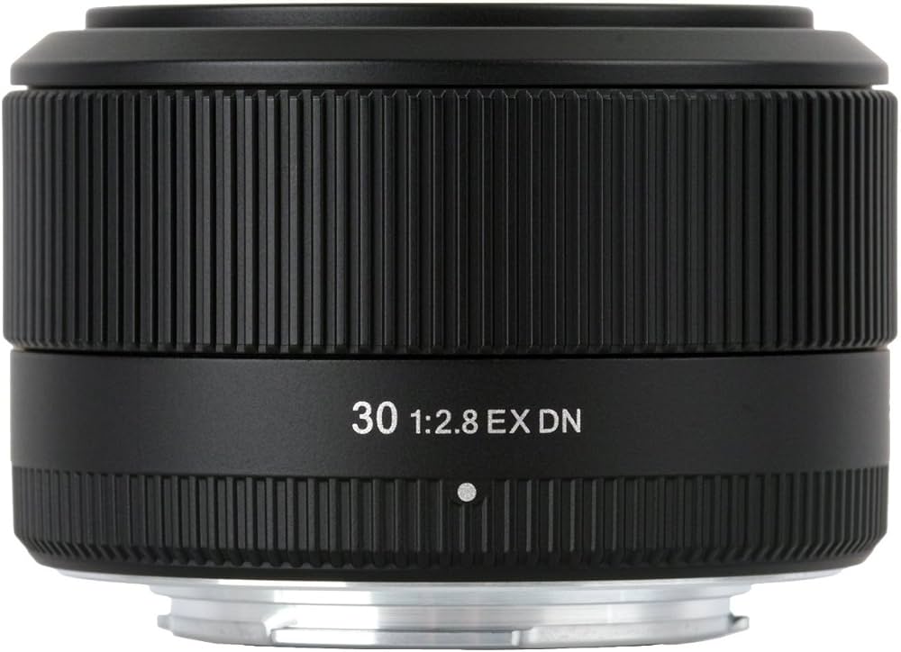 Amazon.co.jp: シグマ 30mm F2.8 EX DN ソニーEマウント用 デジタル