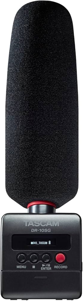 Amazon.com: Tascam DR-10SG Shotgun Mic & Digital Recorder for DSLR