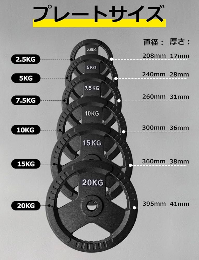Amazon | NASUTO ヘビープレート「2.5kg*2 セット」 プレート セット