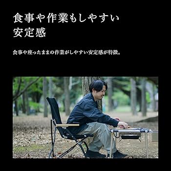 Amazon.co.jp: スノーピーク(snow peak) ローチェア30 ブラウン LV