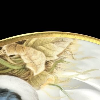 Amazon.co.jp: 大倉陶園 野鳥シリーズ プレート 6枚セット ケーキ皿