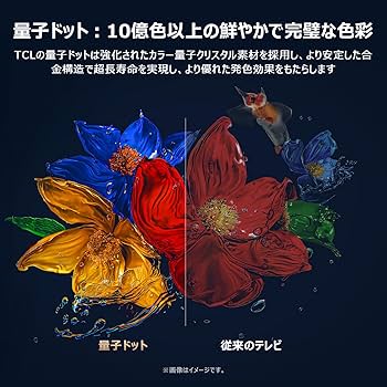 Amazon | 【Amazon.co.jp限定】TCL テレビ 55V型 4K 量子ドット 倍速