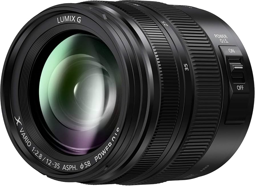 Amazon.com : Panasonic LUMIX Professional 12-35mm Camera Lens G X