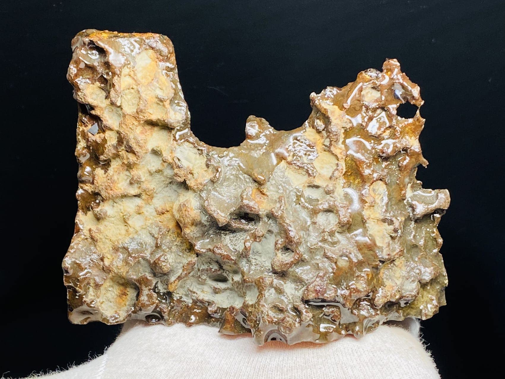 Amazon.co.jp: 【鑑別書付き】 パラサイト隕石 374g 男女兼用 隕石 石