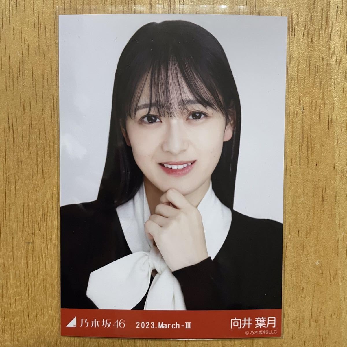 Amazon.co.jp: 乃木坂46 向井葉月 ツートーントップス 生写真 ヨリ 1枚