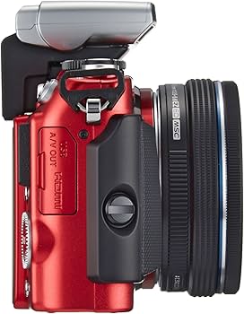 Amazon | OLYMPUS ミラーレス一眼 PEN E-PL6 14-42mm EZレンズキット