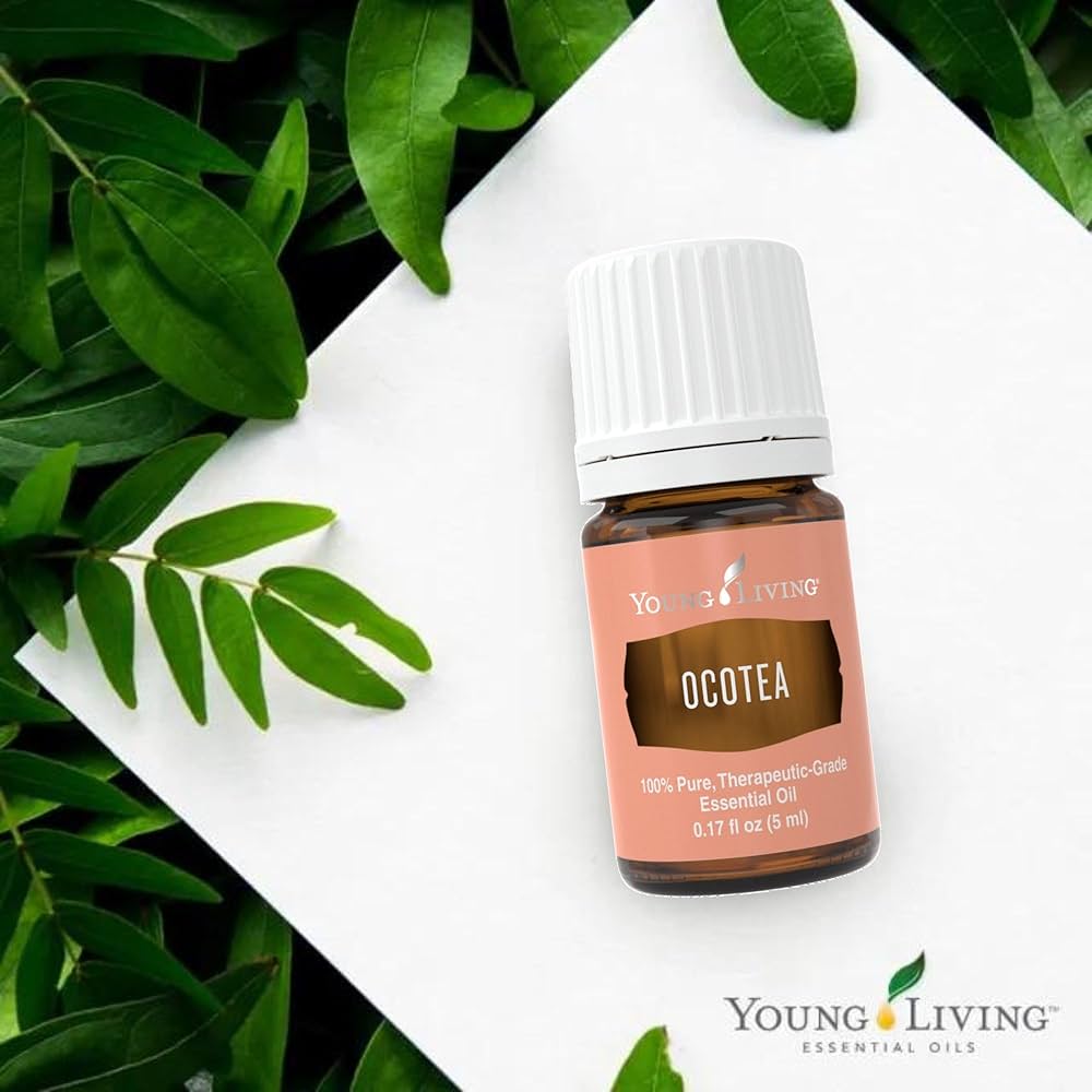 Amazon.com: Young Living - Ocotea Essential Oil 5 ml | Used