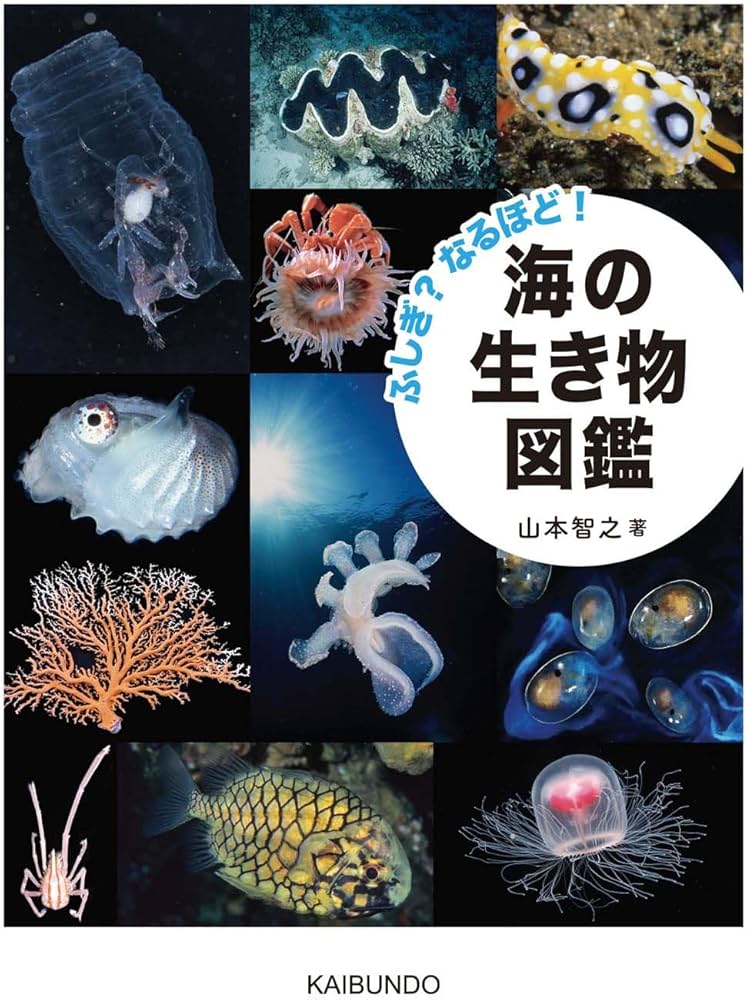 ふしぎ?なるほど! 海の生き物図鑑 | 山本智之 |本 | 通販 | Amazon