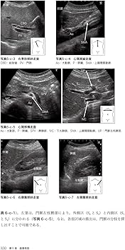 最新臨床検査学講座 生理機能検査学 第3版 | 東條 尚子, 川良 徳弘