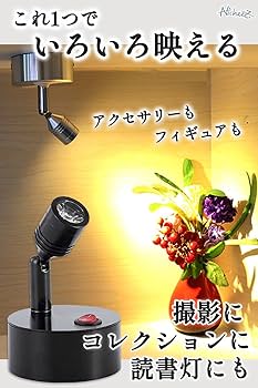 Amazon.co.jp : Nicheez スポットライト 電池式 LED 工事不要 2個