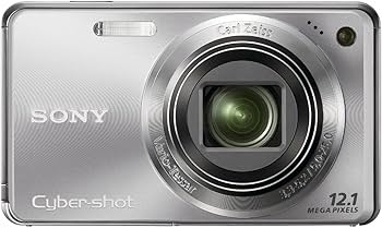 Amazon.com : Sony Cyber-shot DSC-W290 12.1 MP Digital Camera with