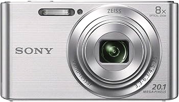 Amazon.com : Sony DSCW830 20.1 MP Digital Camera with 2.7-Inch LCD