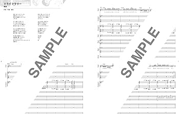 バンド・スコア 初心者が弾きたいJ-POP超定番ソング | シンコー