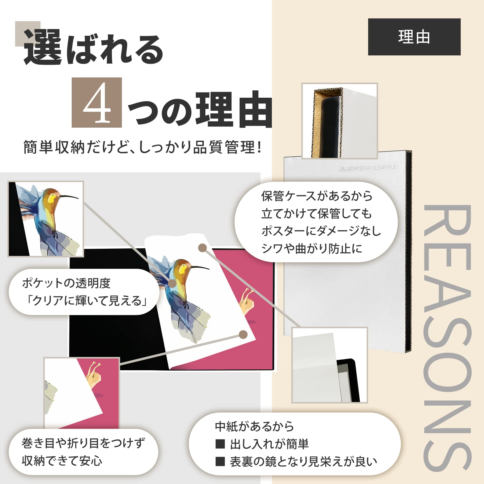 Amazon.co.jp: グリーンウィーク B2 ポスター ファイル 収納20枚（中紙