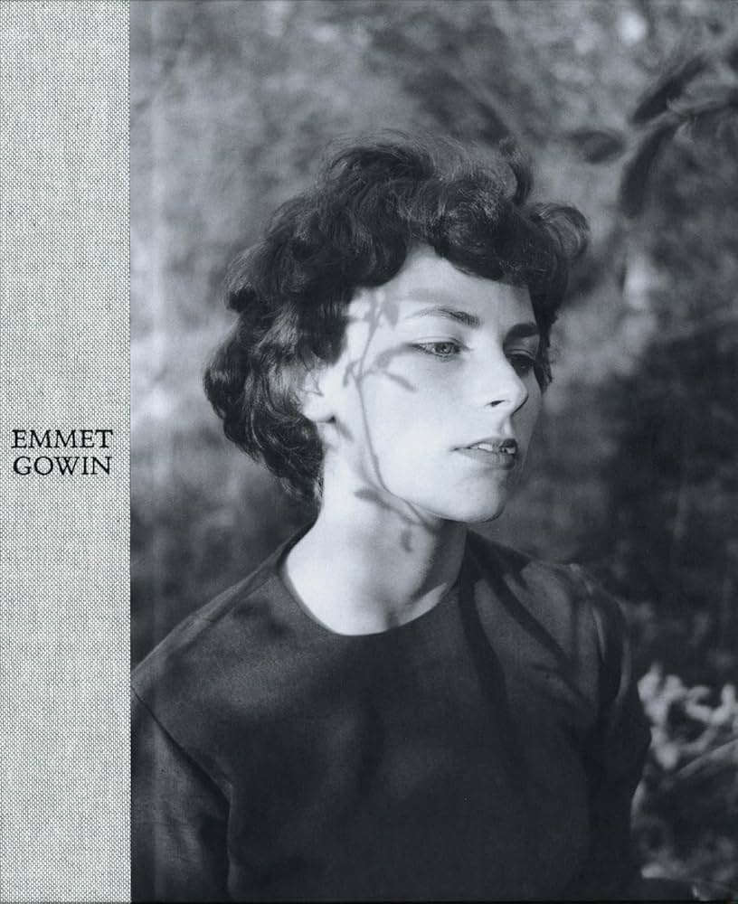 Amazon | Emmet Gowin | Gowin, Emmet, Gowin, Emmet, Davis PhD