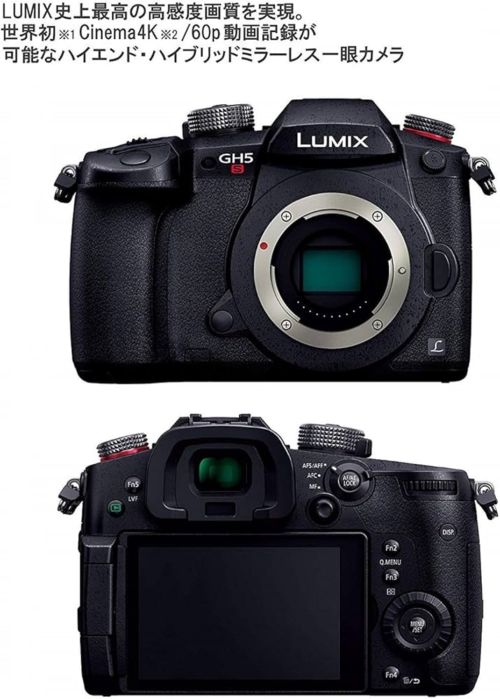 Amazon.co.jp: パナソニック ミラーレス一眼カメラ ルミックス GH5S