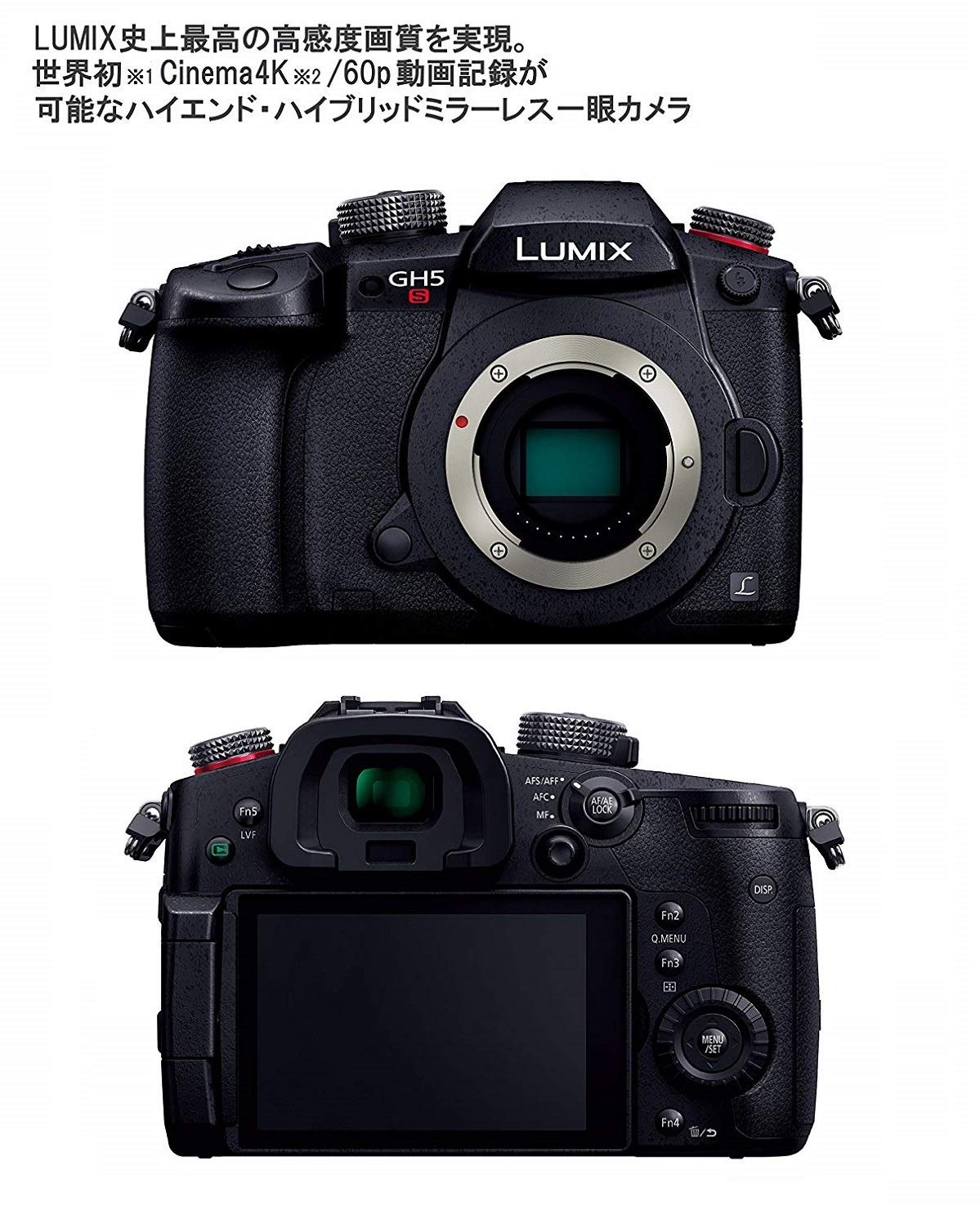 Amazon.co.jp: パナソニック ミラーレス一眼カメラ ルミックス GH5S