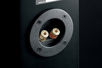 Amazon.co.jp: ONKYO 2ウェイ・スピーカーシステム D-109E(B) : 家電