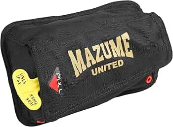 71wuTy9ZurL._AC_UF350,