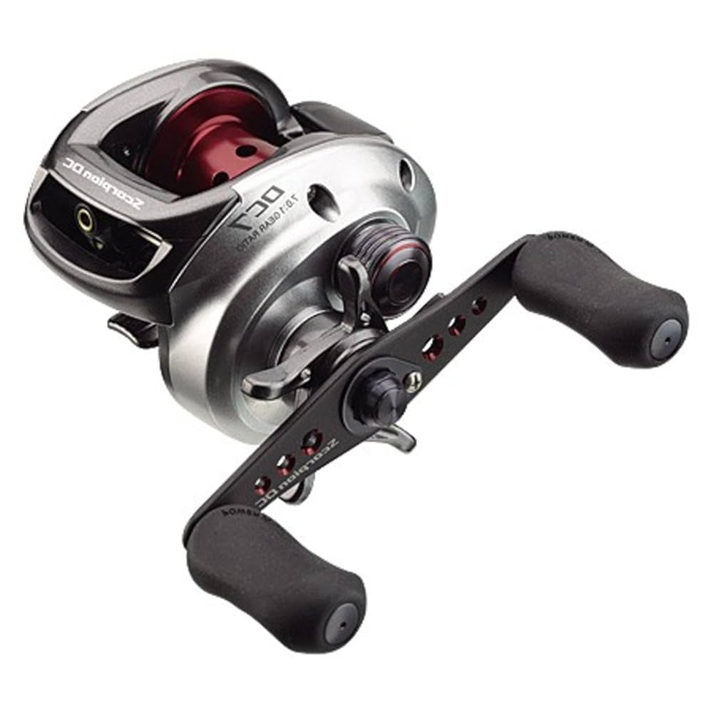 限界価格niumdcxgベイトリール SHIMANO nium DC 70XG ベイトリール