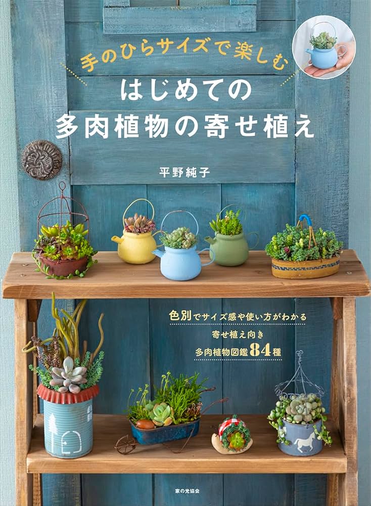 はじめての多肉植物の寄せ植え（手のひらサイズで楽しむ） | 平野 純子