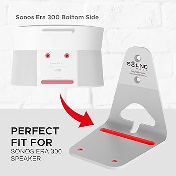 Amazon.com: Sound Bass ERA300 Wall Mount Bracket, Low Profile