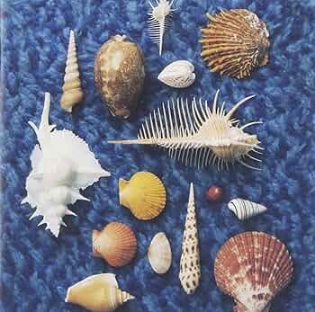 Amazon.co.jp: CYCLE HIT 1991-1997 Spitz Complete Single Collection