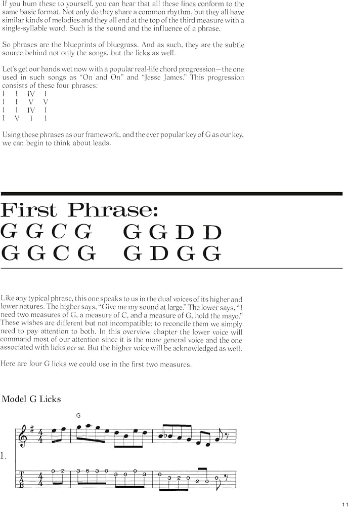 Amazon.com: Hot Licks for Bluegrass Guitar Book - Fingerstyle