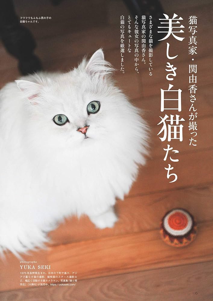 白猫マニアックス (白夜ムック618) | 白猫愛好会 |本 | 通販 | Amazon