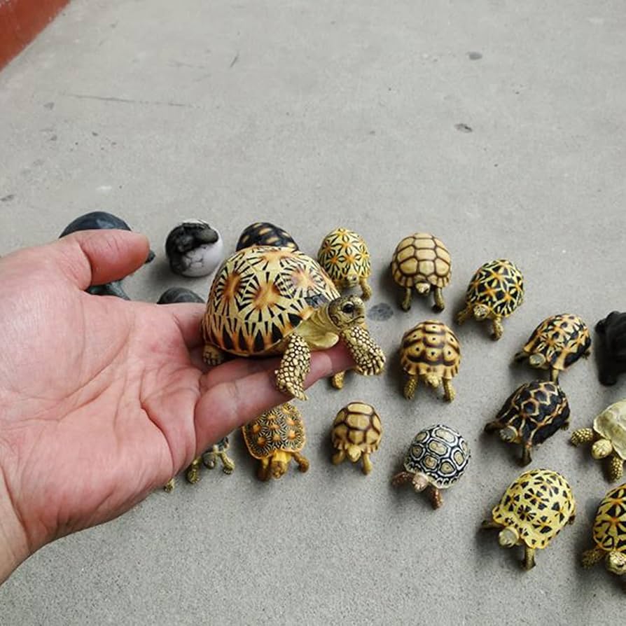 Amazon | Bignick 亀 カメ 動物 模型 縁起物 吉兆 置物 飾り