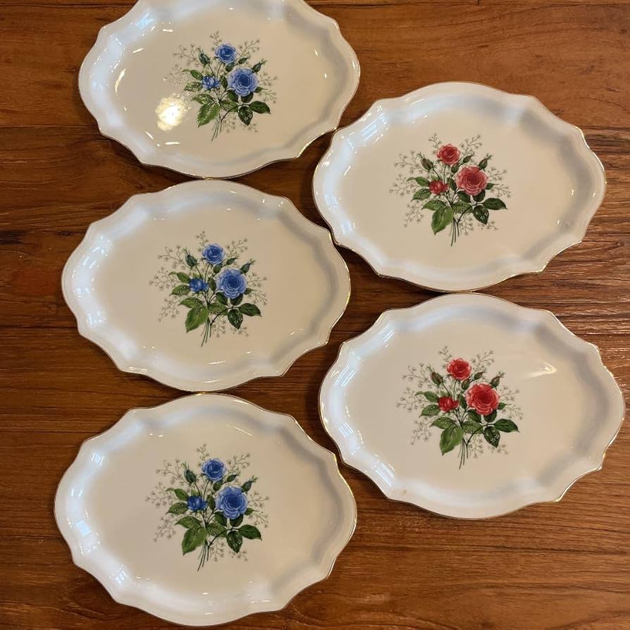 Amazon.co.jp: Richard Ginori リチャードジノリ 皿 9 : ホーム＆キッチン